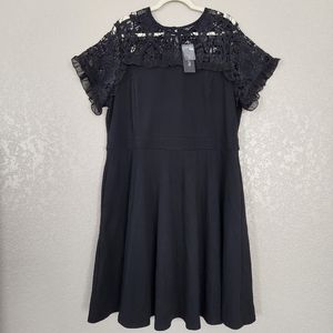 NWT City Chic Dark Mistress Black Lace Fit & Flare Dress L/20